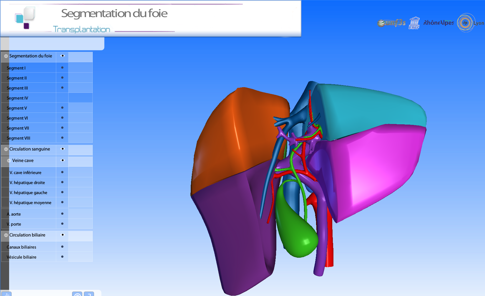 https://lab3d.univ-lyon1.fr/Anatomie3d/fd309/02-praticien_des_formation